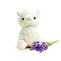Cusco the Llama — Warm Hug Mini Plush