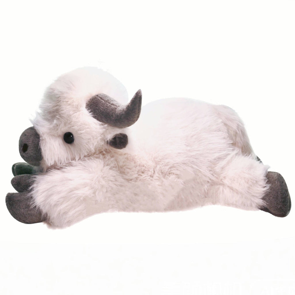 Birch the Highland Cow being held