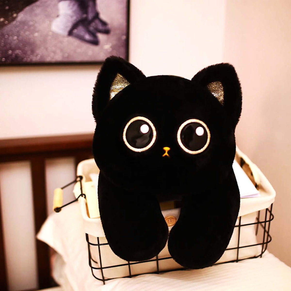 Onyx the Cat front view